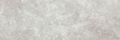 ATRIUM Grey Стенни плочки 20 x 60