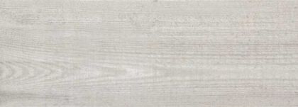 BAYUR Ceniza Гранитогрес 17.5 x 50