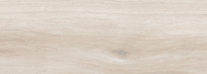 FOREST Blanco Стенни плочки 22.5 x 60