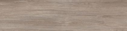 LANDES Taupe Гранитогрес 22.5 x 90