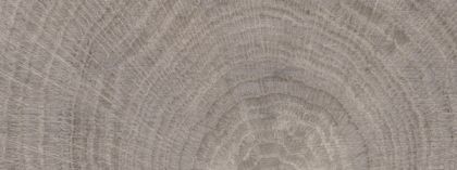 NOLAN Grey Стенни плочки 22.5 x 60