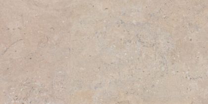 SALERNO Bronzo Гранитогрес 60 x 120