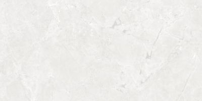 Гранитогрес NEEKO 120x60см