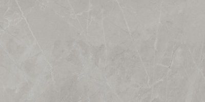 BAYONA Silver Polido Гранитогрес 60 x 120