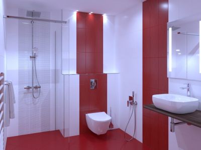 COLORGLOSS Rojo Decorado Декор 20 x 50