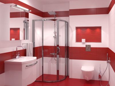 COLORGLOSS Rojo Decorado Декор 20 x 50