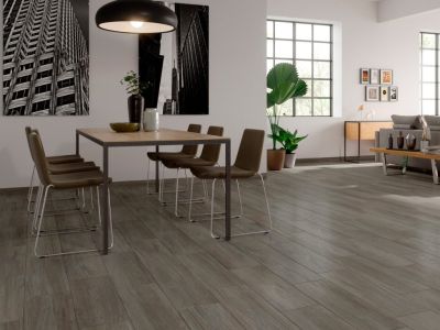 LANDES Blan C Гранитогрес 22.5 x 90
