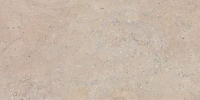 SALERNO Bronzo Гранитогрес 60 x 120