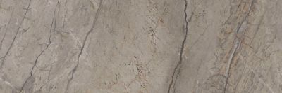 SILVER Roots Grey Matt Стенни плочки 30 x 90