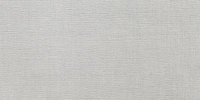 TOULOUSE Grey Стенни плочки 25 x 50