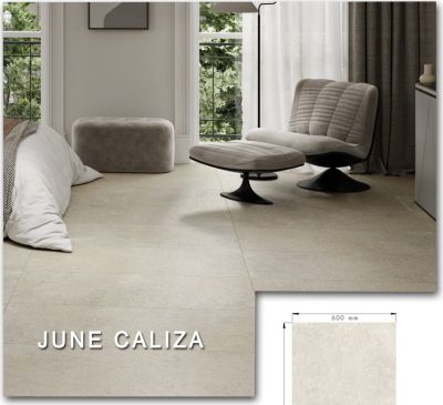 JUNE Blossom Deko Arena Natural Гранитогрес 60 x 120