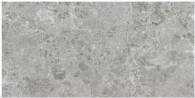 MARAIS Gris Гранитогрес 60 x 120